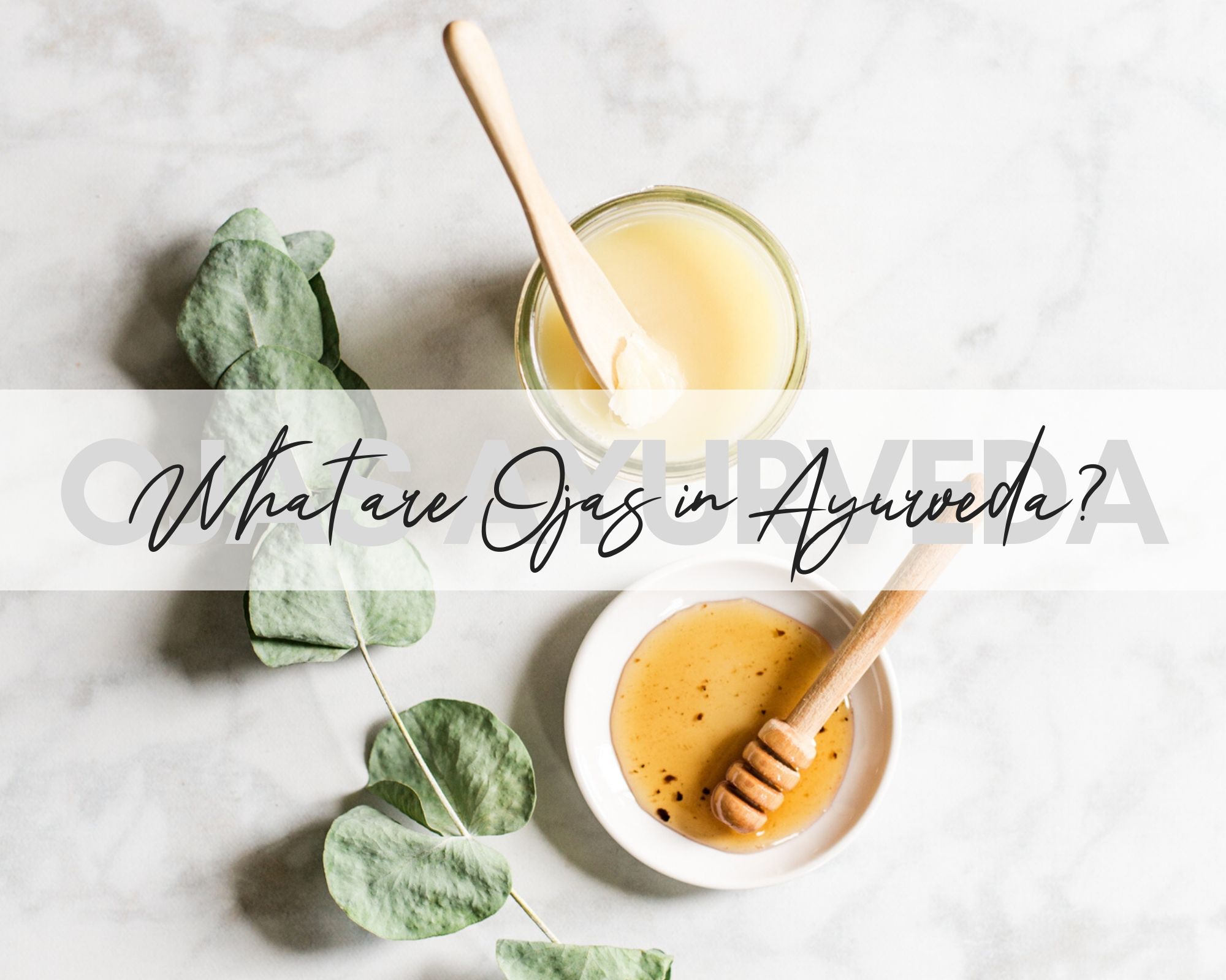 The Concept of Ojas in Ayurveda Blissflow